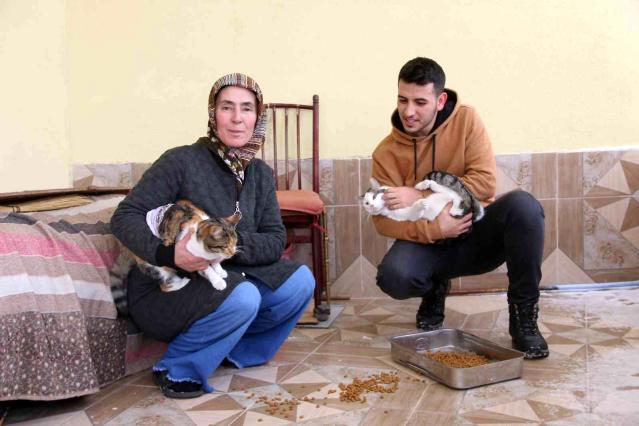 Kayseri’de hayvansever kadın 20 sokak kedisini besliyor