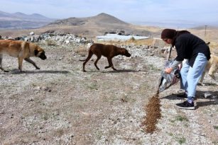 Kocasinan Gençlere Hayvan Sevgisi Aşılıyor