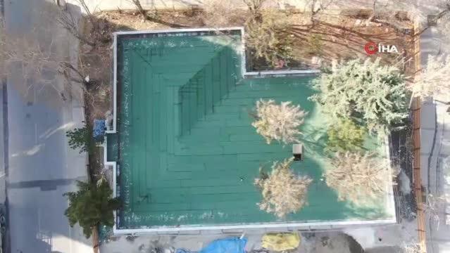 Görenleri şaşırtan inşaat: İçerisinden ağaç gövdesi, çatısından dalları çıkıyor