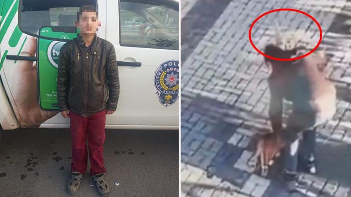 Kayseri’de 14 yaşındaki çocuk kediyi mala ile dövdü