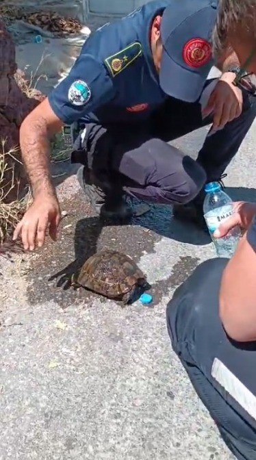 Kaplumbağaya ekiplerden yardım eli