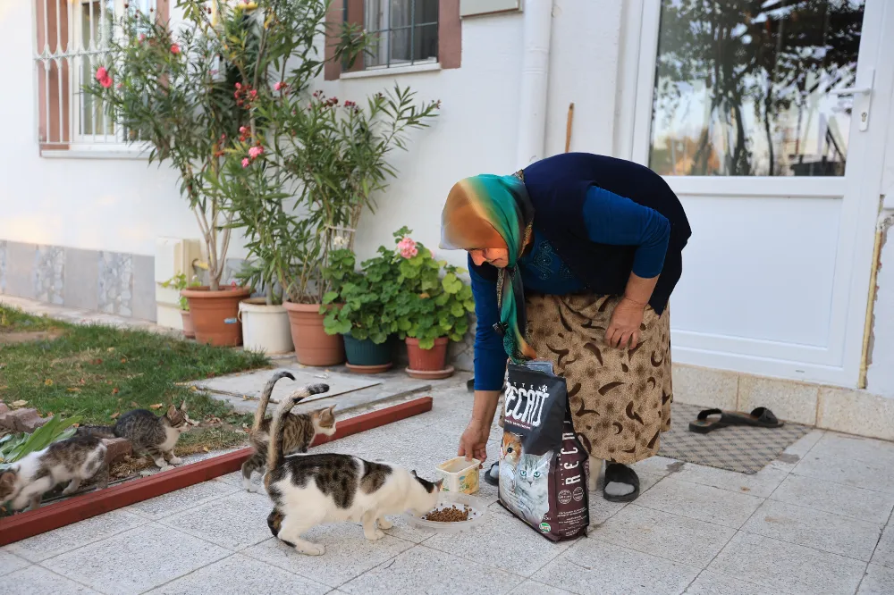 Yaşlı kadının kedilerine mama temini sağlandı